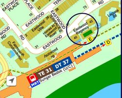 Eastwood Regency (D16), Apartment #552466421